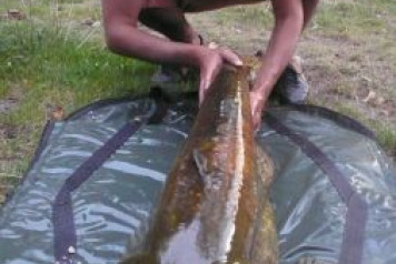  August News from Old Oaks.... - 1