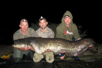 Catfish and carp! - 1