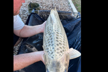 The Season So Far - 2