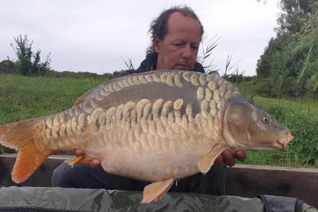 "Pretty fish festival" - 3