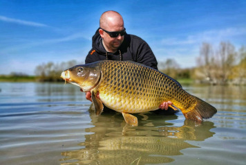 Bait test and catches - 7