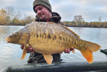 NEW ADDITIONAL STOCKING - 2