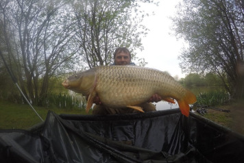 The records keep tumbling - 3