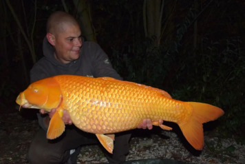 MEGA WEEK AGAIN!!! - 5