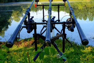 A June Session For Bailiff Mark - 1