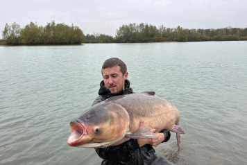 An Additional 7 Carp - 3