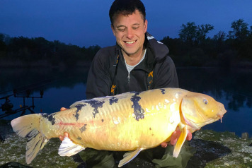 The Return Of The Commons! - 2