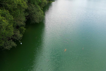 A couple of photos - 2