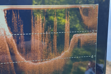 A June Session For Bailiff Mark - 2