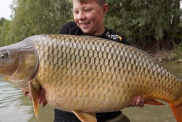 An Excellent Week - 2