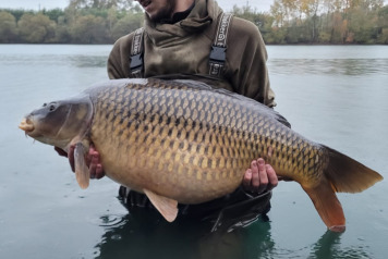 November Session - 2