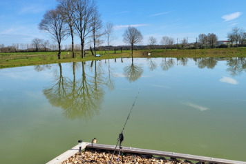 Photos from early Spring - 2