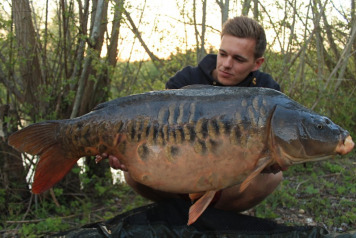 Interview with the Owner - 1