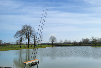 Photos from early Spring - 8