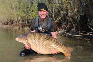 Huge Common - 3