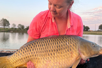 The Season So Far - 13