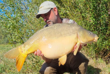 MEGA WEEK AGAIN!!! - 16