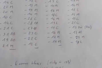 Netting & Additional Stocking - 2