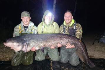 Some fresh news from Laroussi - 7