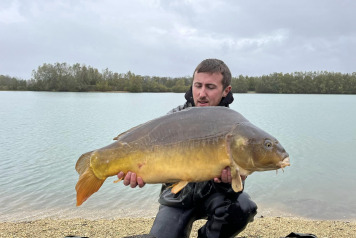 An Additional 7 Carp - 6