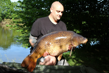 Lake Champion does it again with a 51lb Common! - 1