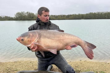 An Additional 7 Carp - 5