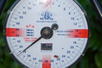 New Ladies Record - 5