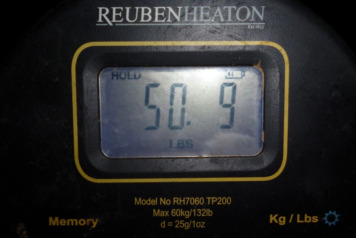 New PB and Lake Record Common for Rick - 2