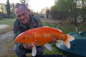 A Colourful Catch! - 2