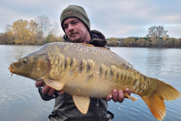 NEW ADDITIONAL STOCKING - 12