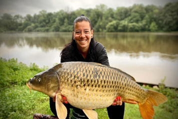 Week from 17.07 to 24.07 - 2