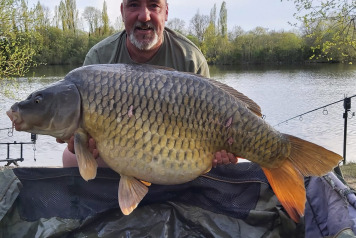 A new record common - 1