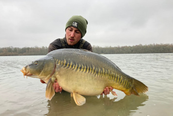 More Carp Stocked this November - 1