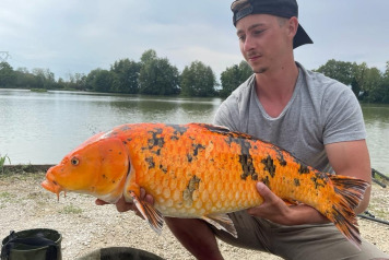 Catch report from 27.8.22 to 3.9.22 - 6