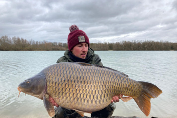 Additional commons - 2