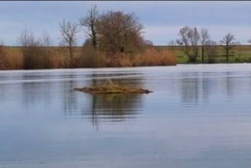 Sanctuary Island - 2