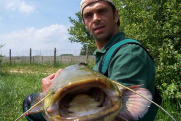 Catfish stocked at Laroussi! - 2