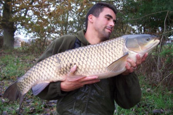 15 big grass carp  - 2