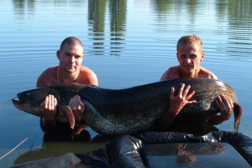 Here's the information about the new lake record catfish: - 1