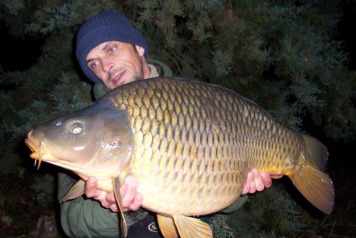 New carp stock added today - 5