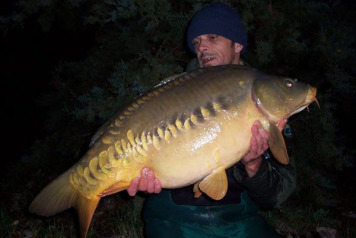 New carp stock added today - 4