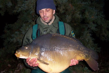 New carp stock added today - 2