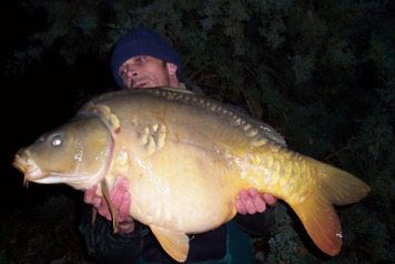 New carp stock added today - 6