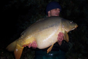 New carp stock added today - 1