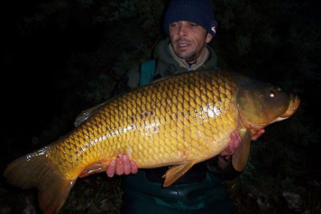 New carp stock added today - 3