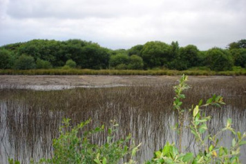 Work Begins on Lake William - 2