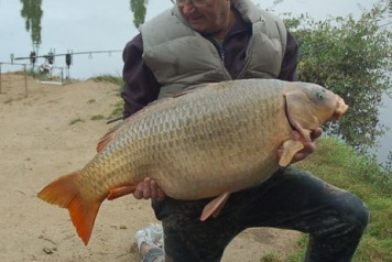 The Ghost Common out ! - 1