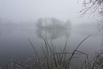 Capturing Another Villefond 50lb+ Carp - 1