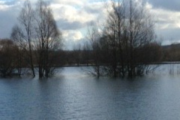 Beaurepaire Water Levels - 1
