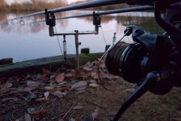 Capturing Another Villefond 50lb+ Carp - 3